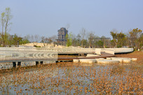 �ɶ���������̨�ɷ�����ݺ�