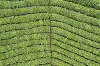 ������¢