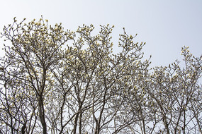 ����һƬ�뿪���������ͻ��Ƕ�