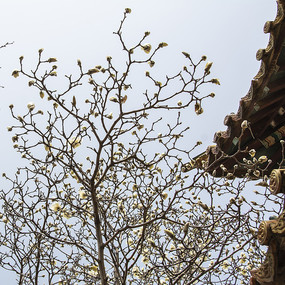 ����һƬ�����Ͱ뿪��������