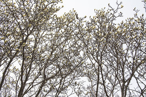 ����һƬ������뿪��������