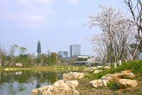 �ɶ�������������ͼ��� 