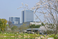 �ɶ�������ͼ��� ӣ��