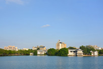 �����������н������������� 