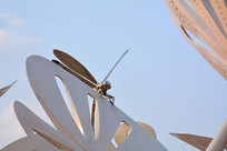 �ɶ���������Ҷ���ѵ���