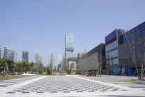 �ɶ�������Զ��������