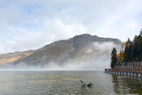 �������羰������ľ��� 