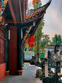 ���й���ķ¹Ž�������