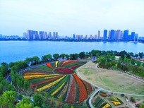 ���й�԰���̻�