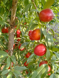 ���յ�����