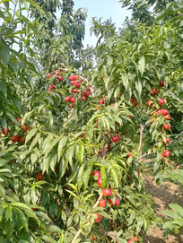 ���յ�����