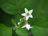 Ұ�������Ŀ�����