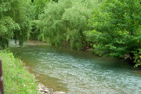 ������ɽ�ٶ���������������