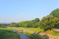 ���ڸ���Ӽ�̤ˮ�� 