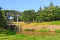 �������Ĺ�԰�����·�Ž���