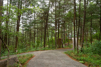 ��������ɽ��Ħ������������