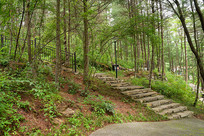 ��������ɽ��Ħ����ɭ���ݵ�