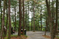 ��������ɽ��Ħ������̬��