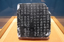 ��κ�������������� 