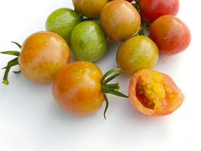 �׵�С����