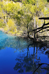 ��կ����ɫ���浹Ӱ