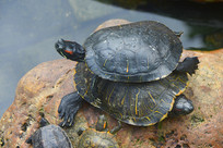 ������󹬹�ط������ڹ� 