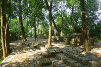 ���ڱʼ�ɽ��԰ɭ�ֽ�����