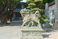 ���������������ʯ��