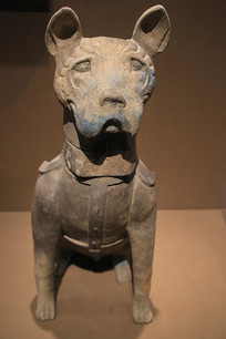 ���������չ�