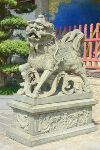 ���ڳ�������������� 