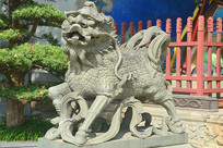 ���ڳ�����������������