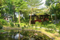 ����԰��԰�軨԰԰��