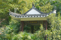 ����԰��԰�ͼ��¾ӿͼҾ���ͤ