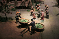 ���ϲ�ɫ����