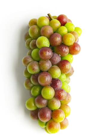 �׵��������