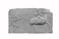 �ɶ����ݶ���������¹����ש