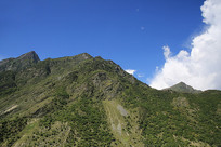 �Ĵ����ӵ���ɽ��