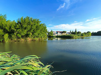 ��Ұ����ˮ���˼�