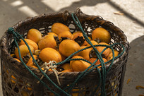 ���ӵ���