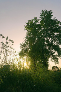 �ɶ�·�ػ���Ϧ�����յ�����