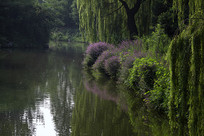 �������ϴ�������