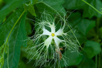 Ұ���л���¥�Ŀ�����