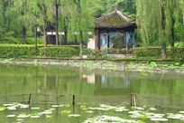 �ɶ�������ˮ��԰�ֽ���̫Ԫͤ