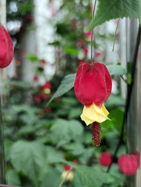 ��������д