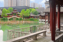 �ɶ���̶ˮ��ˮ��԰���꾩�� 