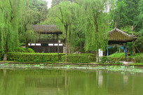 �ɶ�������԰��ޒ�����̫Ԫͤ