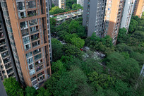 �Ҿ�����