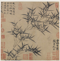 Ԫ�����ī��ͼҳ