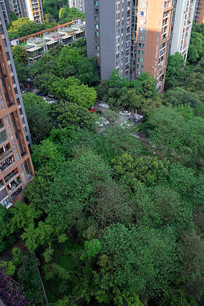 ������ɫ��԰