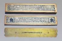 �Ĳ�ҽ����� 